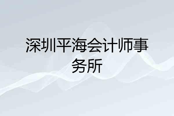 深圳平海会计师事务所