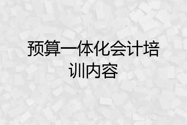 预算一体化会计培训内容