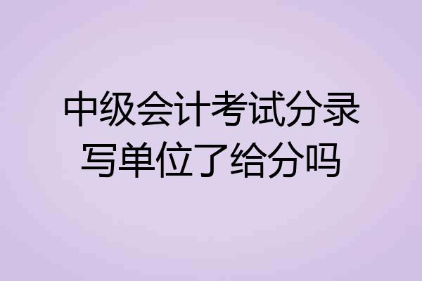 中级会计考试分录写单位了给分吗