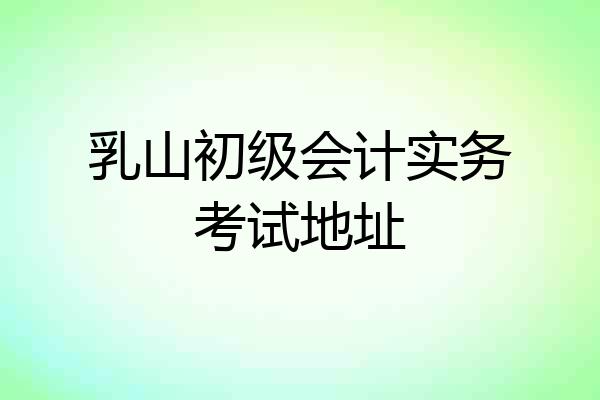 乳山初级会计实务考试地址