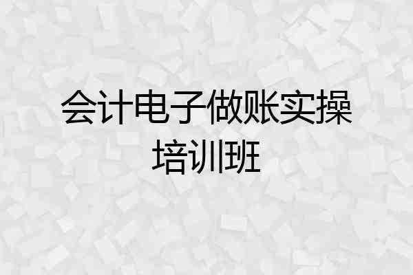 会计电子做账实操培训班