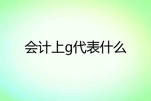 会计上g代表什么