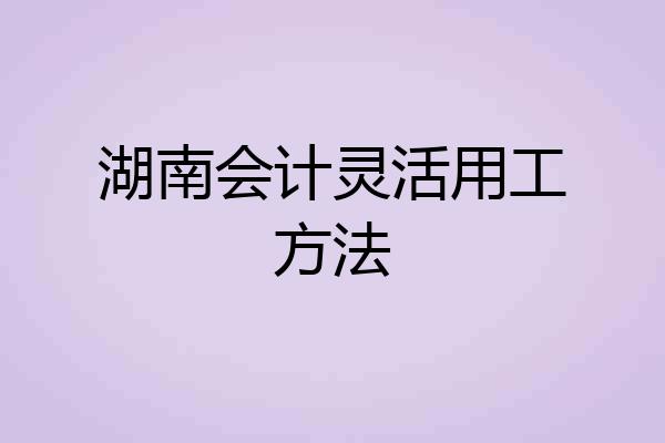 湖南会计灵活用工方法