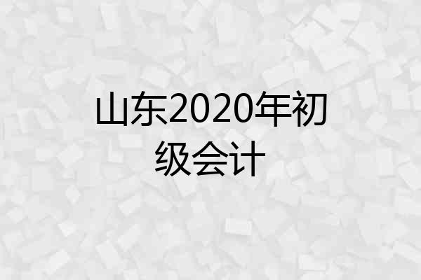 山东2020年初级会计