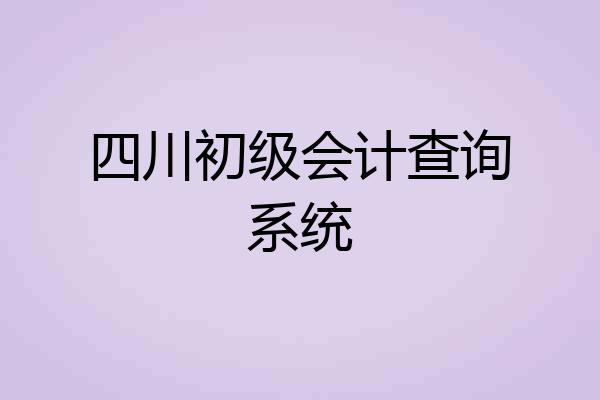 四川初级会计查询系统