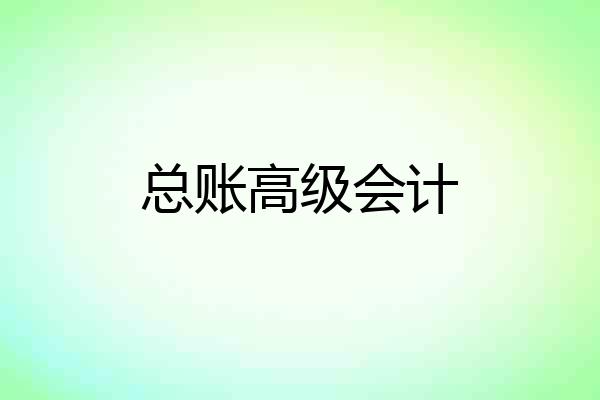总账高级会计