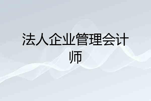 法人企业管理会计师