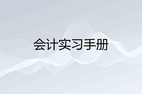 会计实习手册