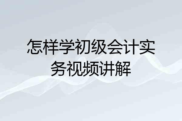 怎样学初级会计实务视频讲解