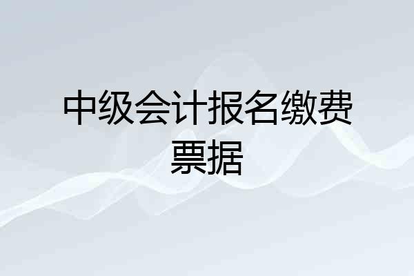 中级会计报名缴费票据