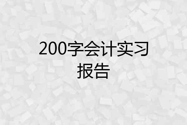 200字会计实习报告