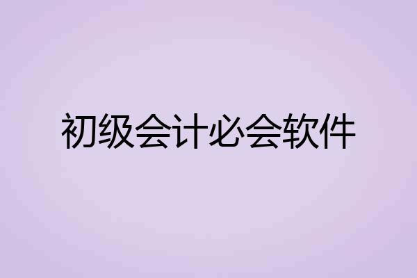 初级会计必会软件