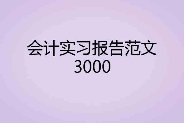 会计实习报告范文3000