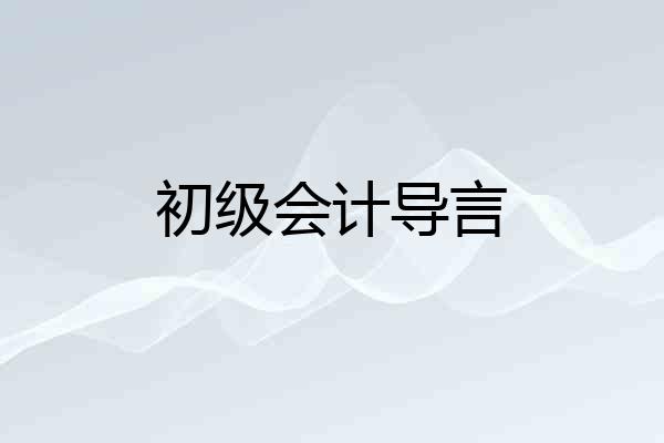 初级会计导言