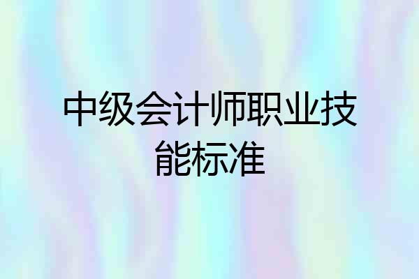中级会计师职业技能标准