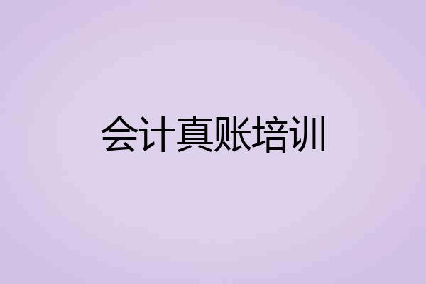 会计真账培训
