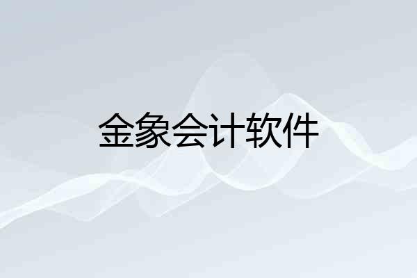 金象会计软件