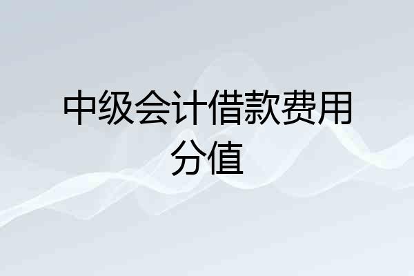 中级会计借款费用分值