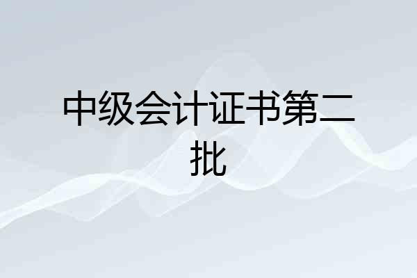 中级会计证书第二批
