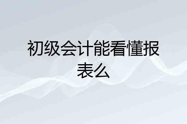 初级会计能看懂报表么