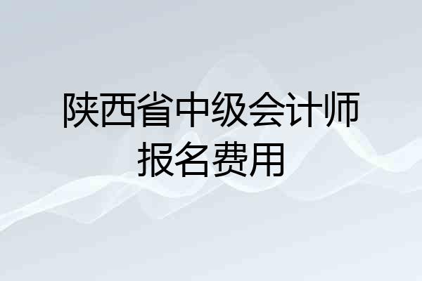 陕西省中级会计师报名费用