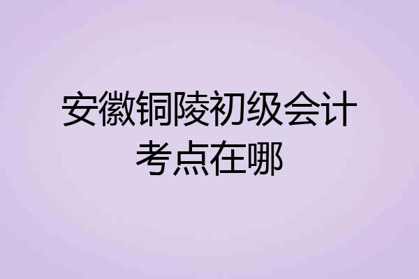 安徽铜陵初级会计考点在哪