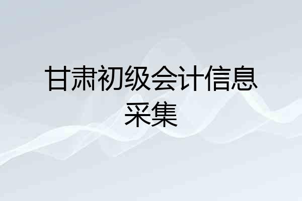 甘肃初级会计信息采集