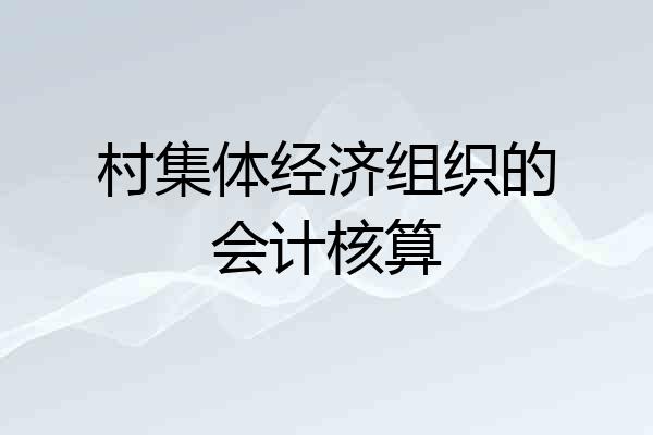 村集体经济组织的会计核算