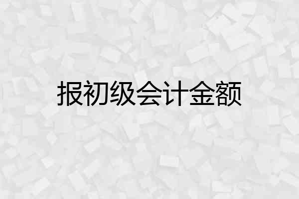 报初级会计金额