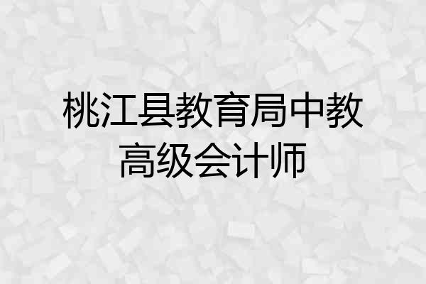 桃江县教育局中教高级会计师