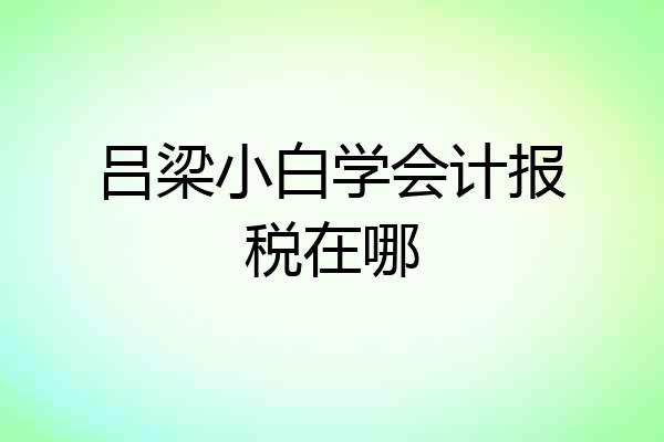 吕梁小白学会计报税在哪