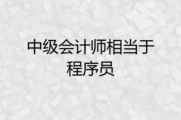 中级会计师相当于程序员