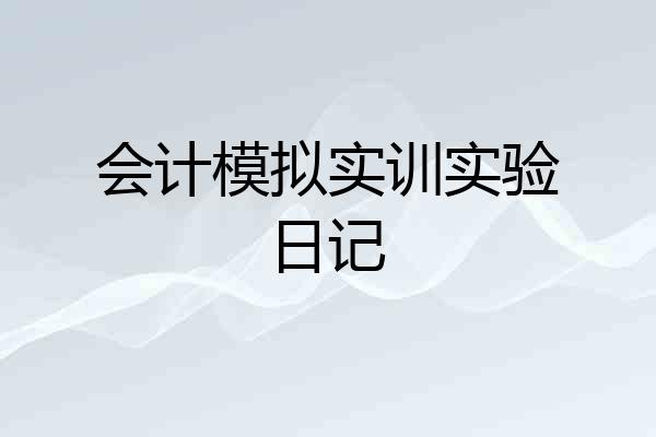 会计模拟实训实验日记