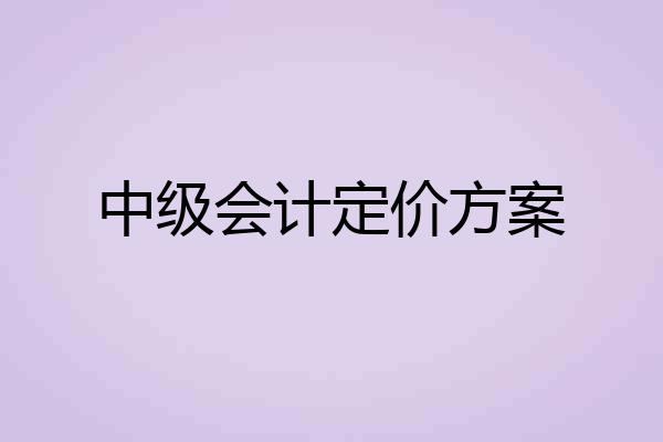 中级会计定价方案