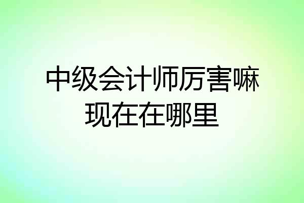 中级会计师厉害嘛现在在哪里