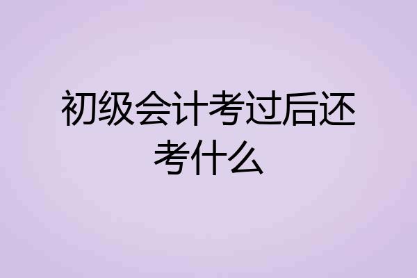 初级会计考过后还考什么