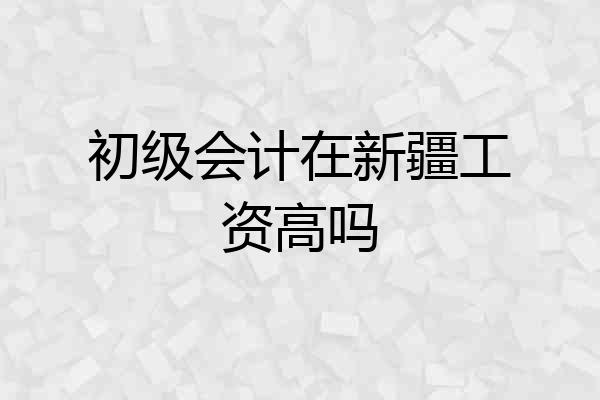 初级会计在新疆工资高吗