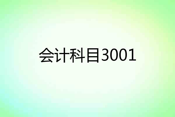 会计科目3001