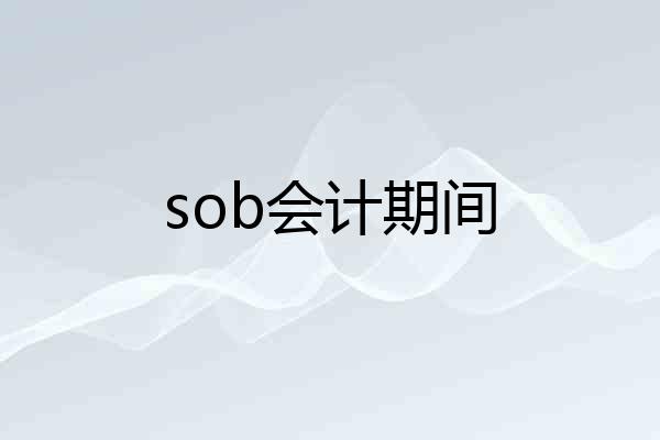 sob会计期间