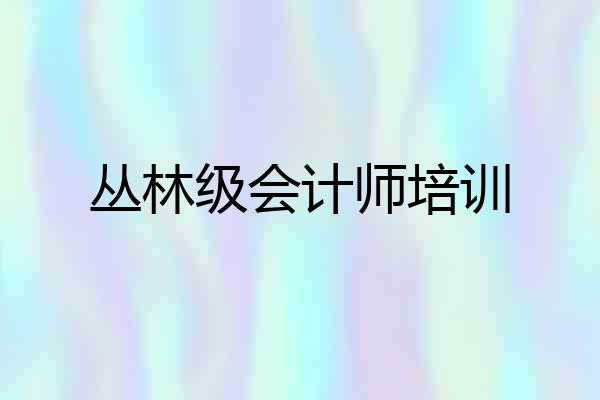 丛林级会计师培训