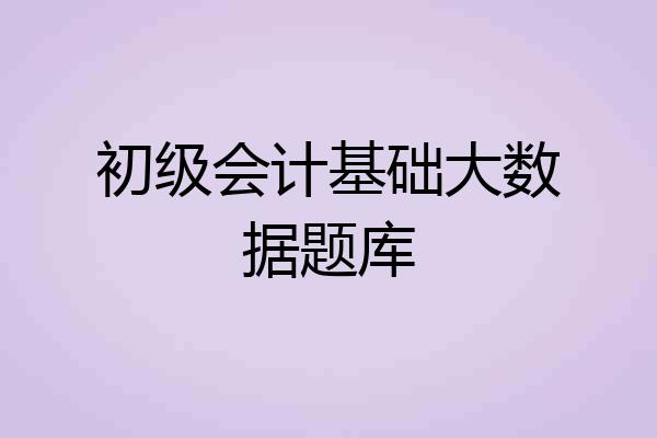 初级会计基础大数据题库