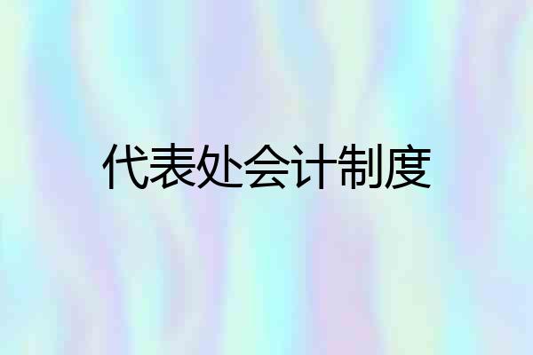 代表处会计制度