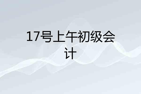 17号上午初级会计