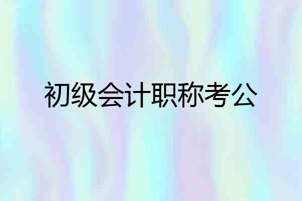 初级会计职称考公