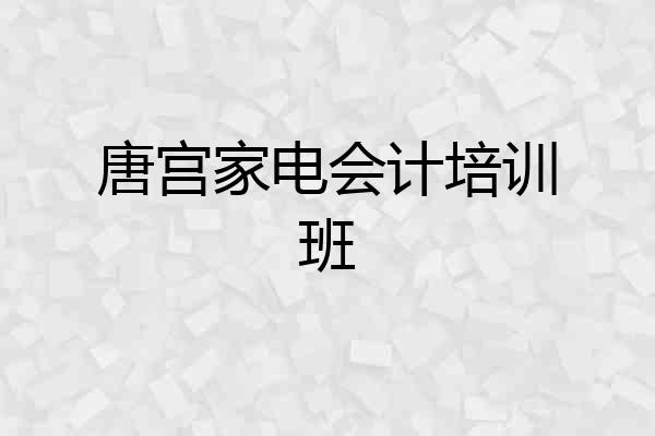 唐宫家电会计培训班