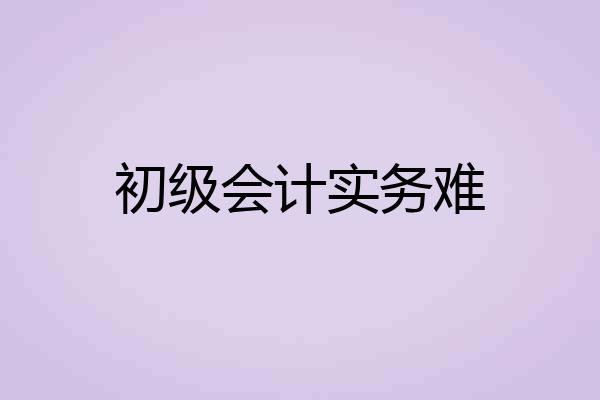 初级会计实务难