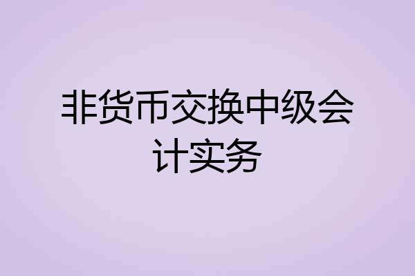 非货币交换中级会计实务
