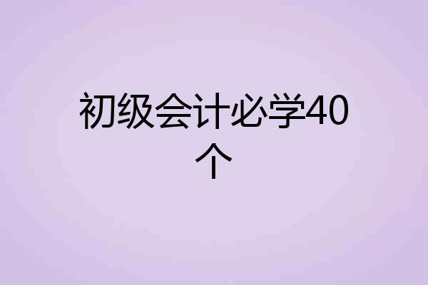 初级会计必学40个