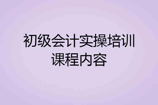 初级会计实操培训课程内容