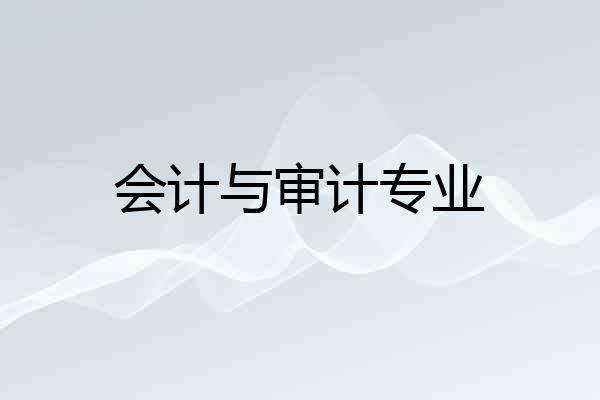 会计与审计专业